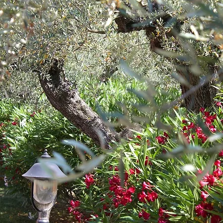 Lantställe La Foggetta