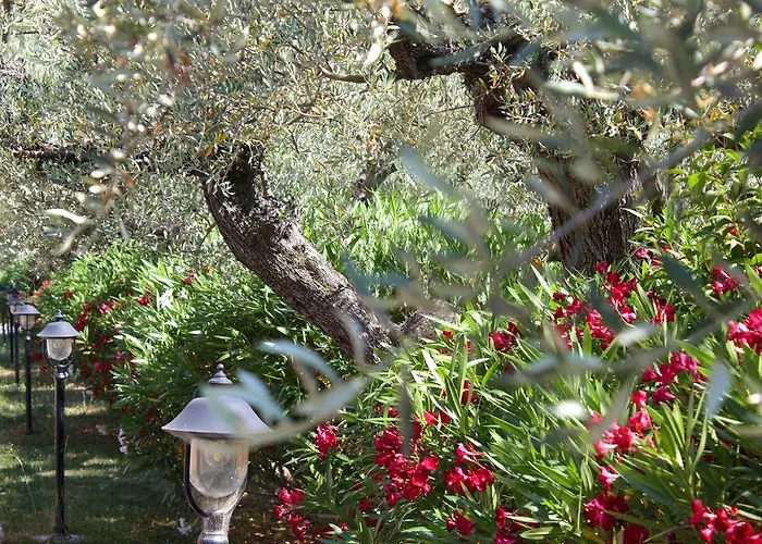 Country house La Foggetta